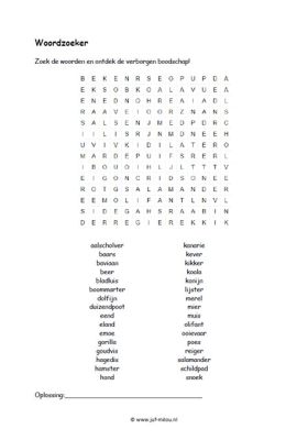 Infinite Wordsearch: Ontdek de Magie van Verborgen Woorden!